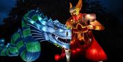 Festival of Light