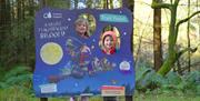Room on the Broom trail at Westonbirt