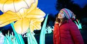 Festival of Light