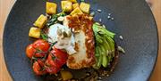 A bowl of avocado, tomato and halloumi
