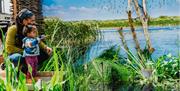 People enjoying Festival of Nature