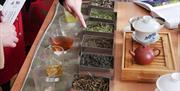 Tea at Museum of East Asian Art