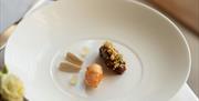 Small selection of puddings on a white plate