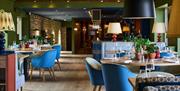 Restaurant with blue chairs, wine glasses, potted plants on tables.