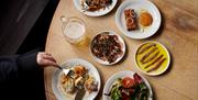 Lots of food dishes