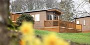Exterior of the lodges at Mendip View Lodges in spring