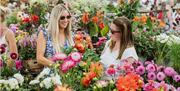 two women surronded by flowers