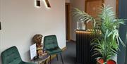 The reception area at Relax Recover, with green chairs, a potted plant and white walls.