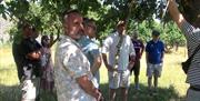Tour group stood under a tree in a cider orchard.
