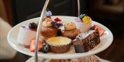Tray of cakes and goodies