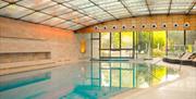 A large glass fronted indoor swimming pool with curved high ceiling and cream lounger beds.