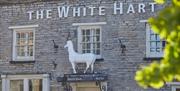 A stone building with The White Hart written on the front in white lettering and a large white stag statue above the door