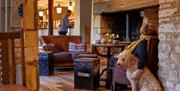 A seating area in a room with lots of exposed brick work - a tan coloured fluffy dog sits next to a person in a chair