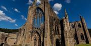 Tintern Abbey