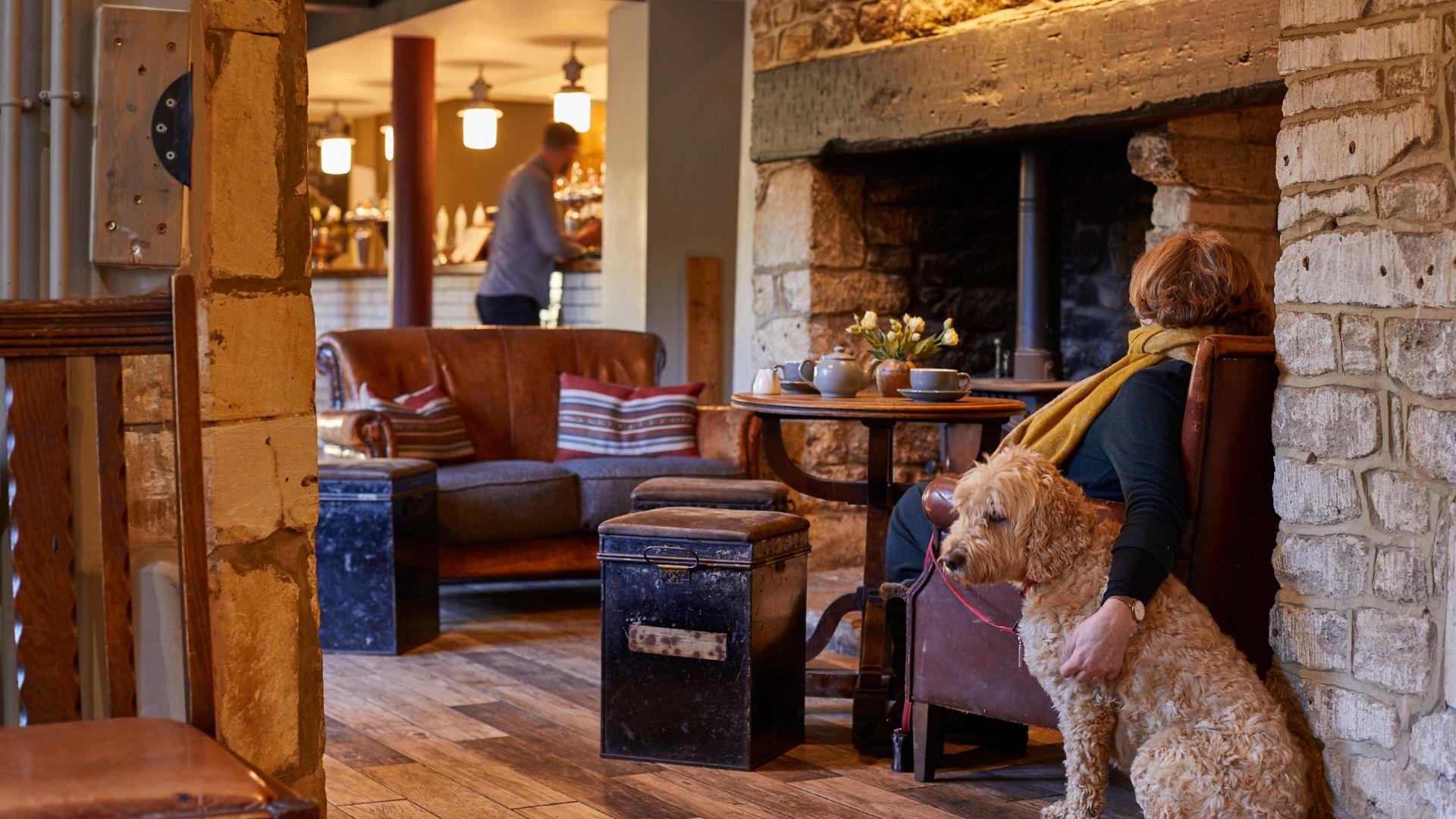 Dog sat in bar at Timbrell's Yard in Bradford on Avon