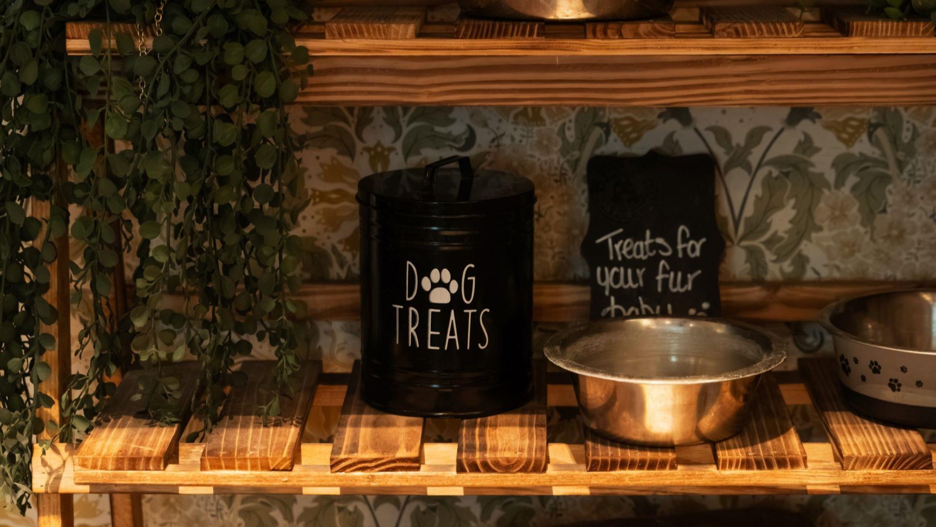 Dog bowls on shelf