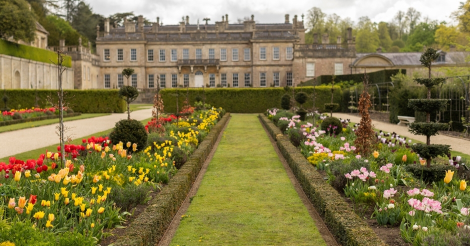 Outdoor theatre: Othello at Dyrham Park